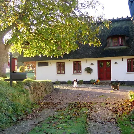 Myrholm לינה וארוחת בוקר